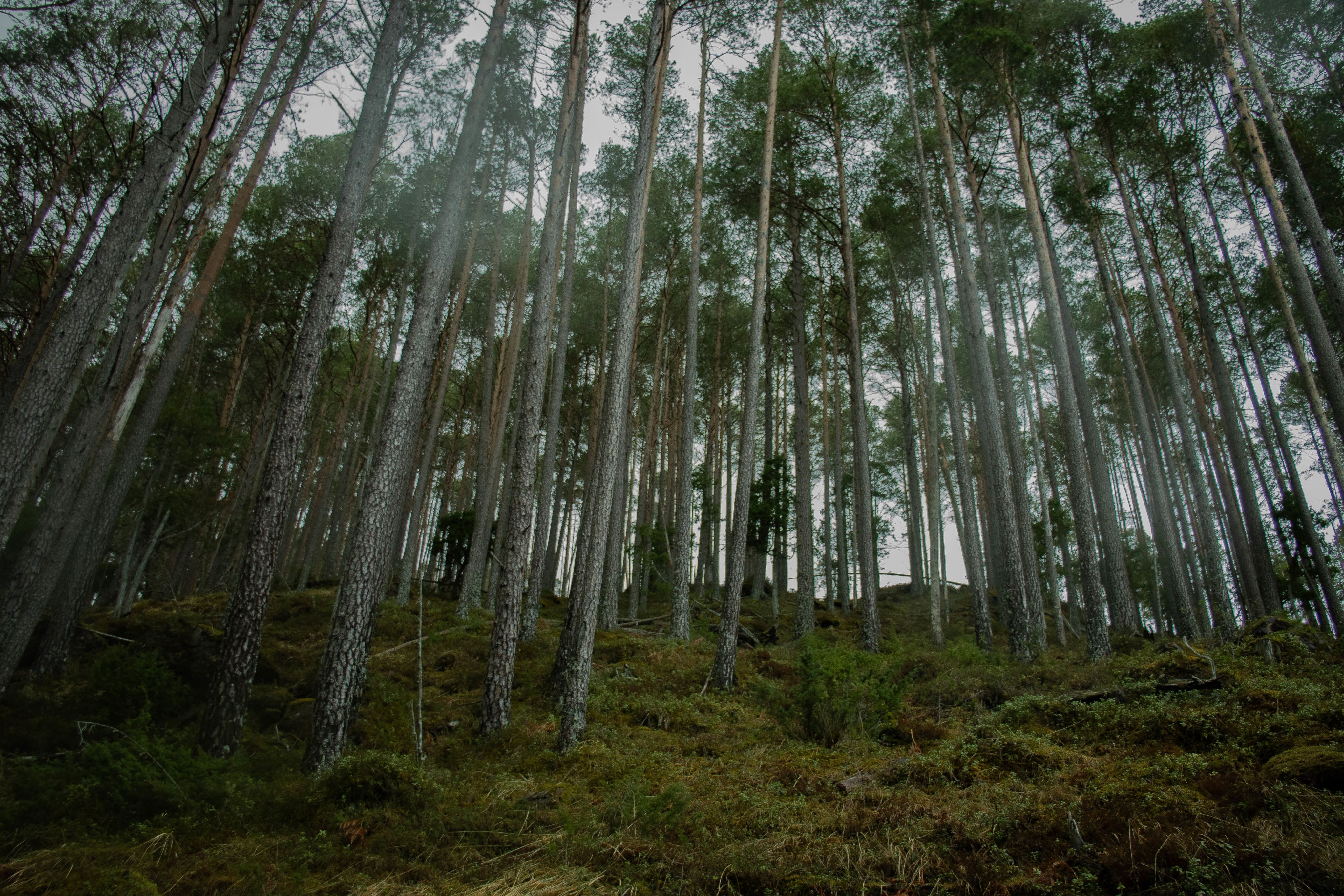 FOTO: Saga Konstanse Bjerkebekk