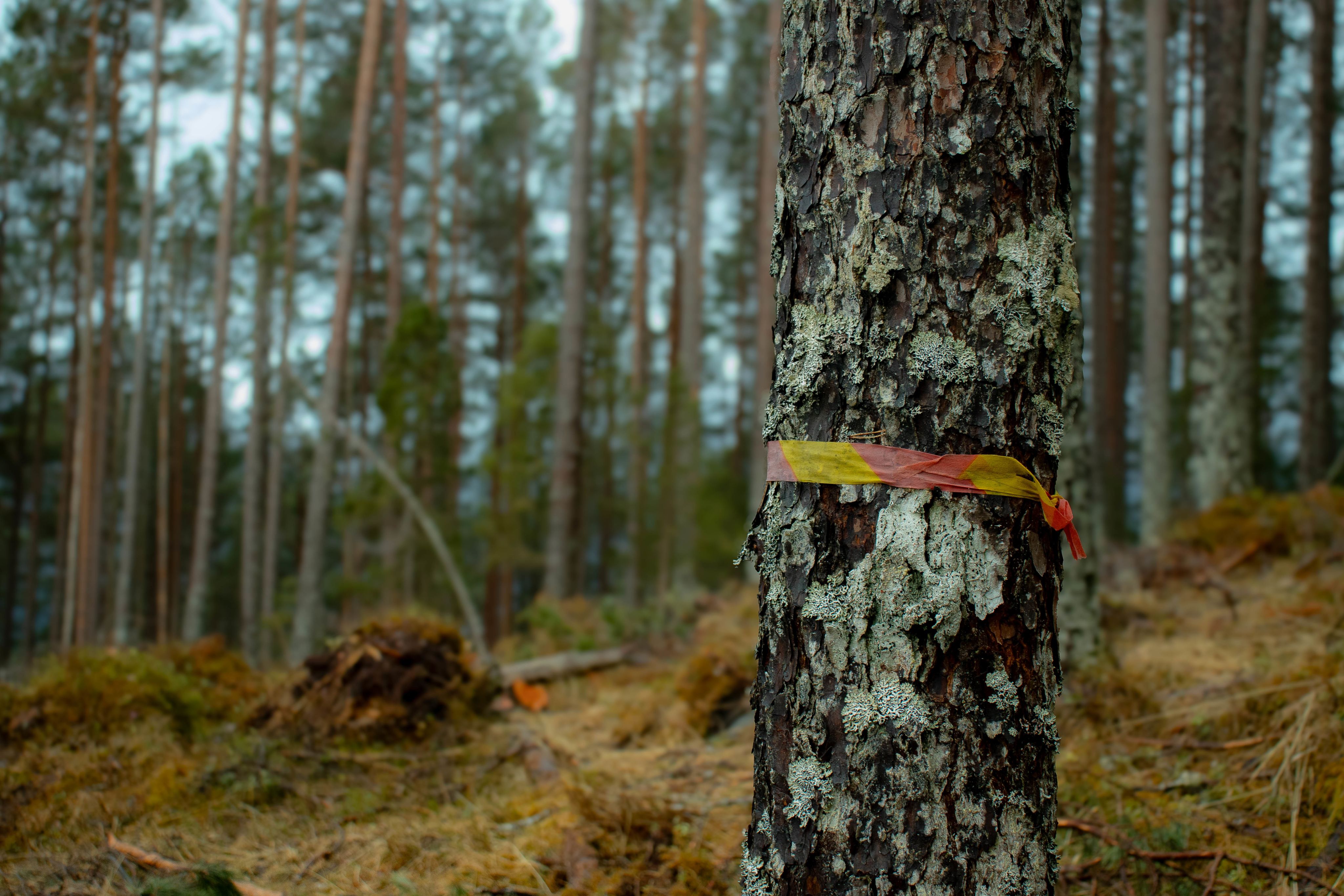 FOTO: Saga Konstanse Bjerkebekk