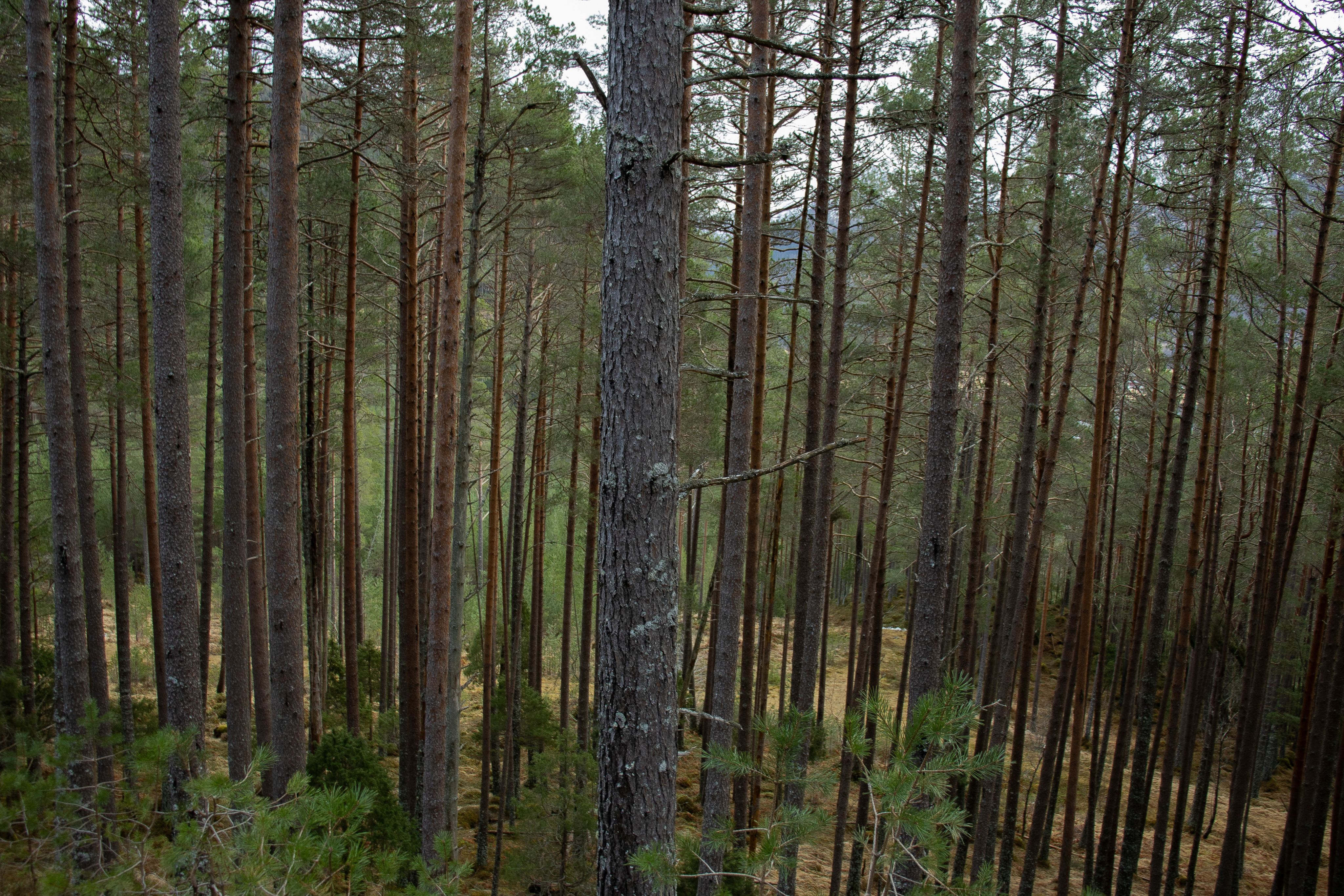 FOTO: Saga Konstanse Bjerkebekk